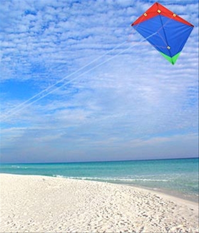 Hi Fly Kites