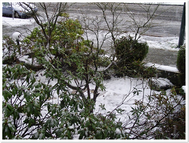 Snow