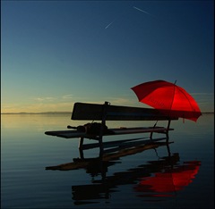 Courtesy of flickr      