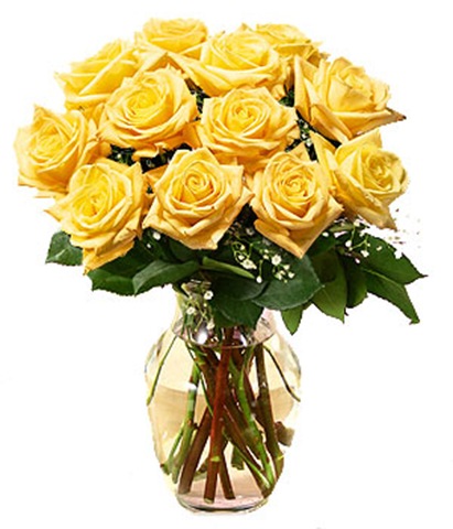 yellow roses pictures. Yellow Roses